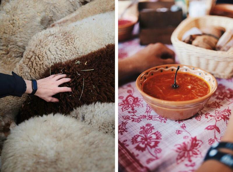 зимний отдых в Украине