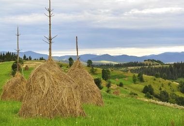 Сільські тури